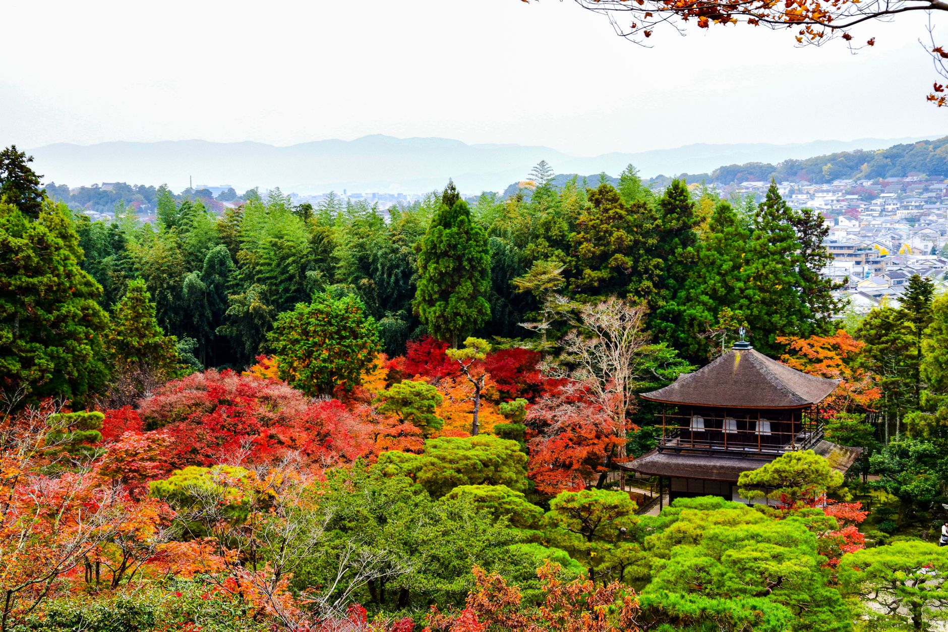 Kyoto Zen Garden